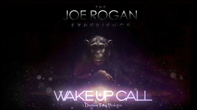 thejoeroganexperiencewakeupcallchapter1